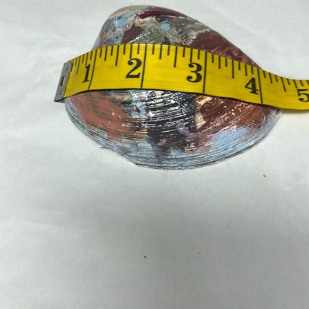 Hand Painted Decorative Shell - Picture 6 of 6
